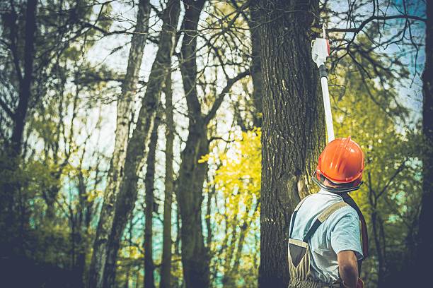 Soil Testing and Treatment in Williams, CA